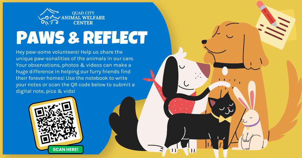 Paws and reflect graphic 2